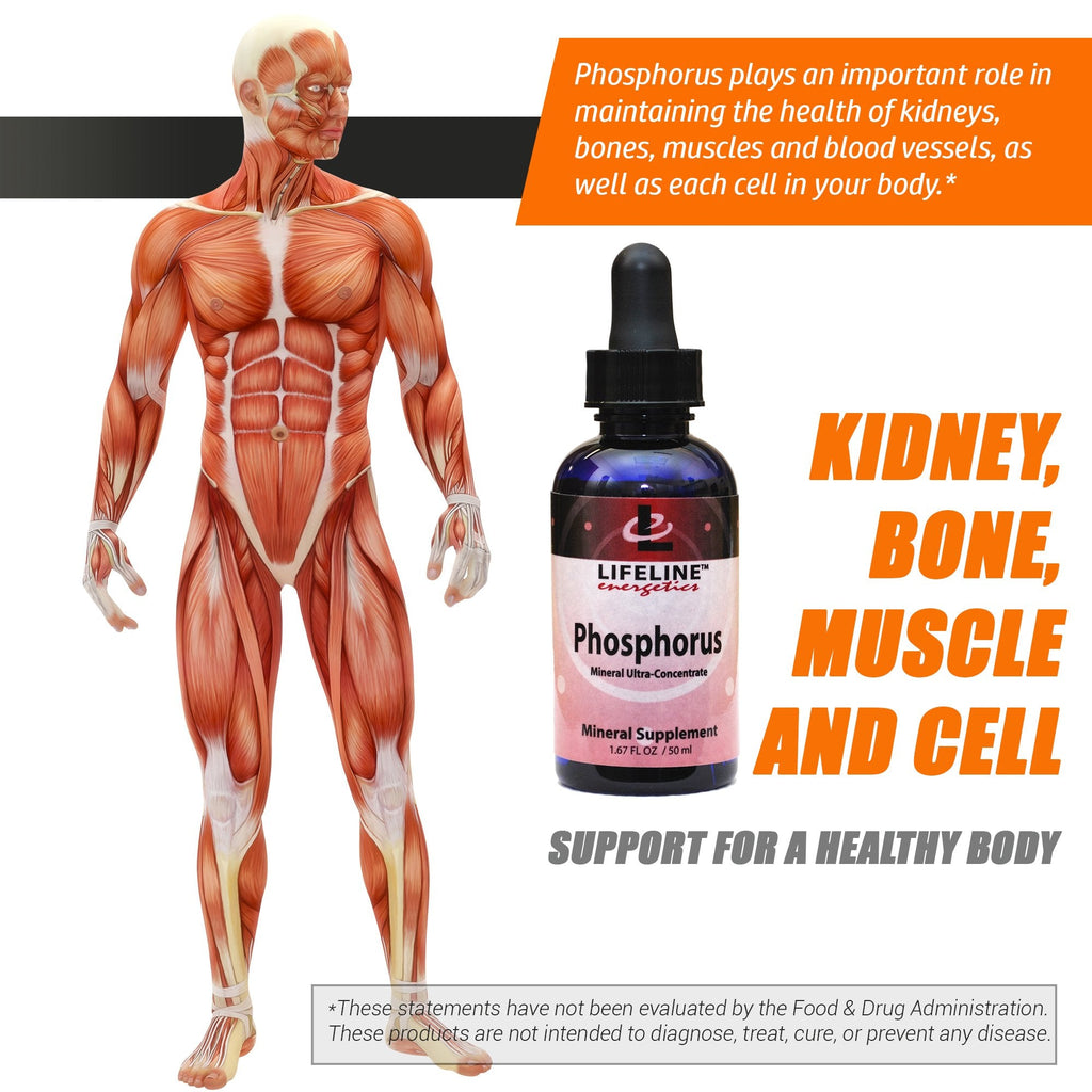 Phosphorus Drops - Liquid Ionic Mineral Supplement 50 Ml Bottle (50 Days at 50 mg per 20 Drops)