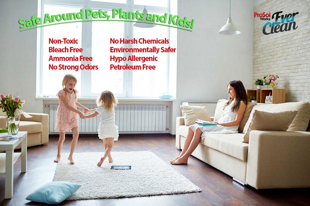 ProSol Works - All Purpose Cleaner Concentrate 1 Gal Kit