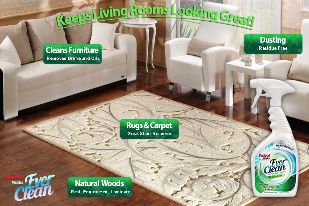 ProSol Works - All Purpose Cleaner Concentrate 1 Gal Kit