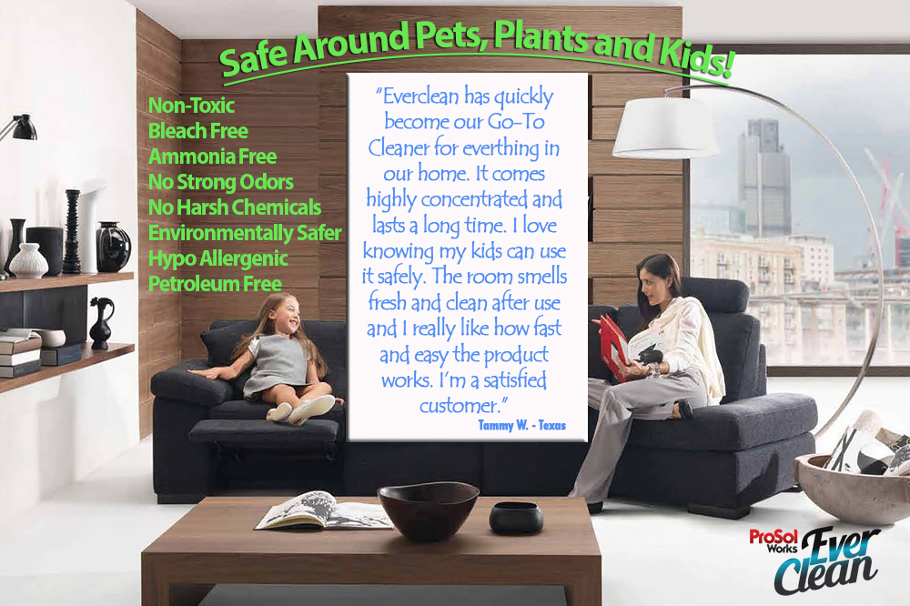 ProSol Works - All Purpose Cleaner Concentrate 1 Gal Kit